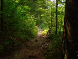 2013-08-17_Wettersteinhuette _Regina-F-Rau (015).JPG